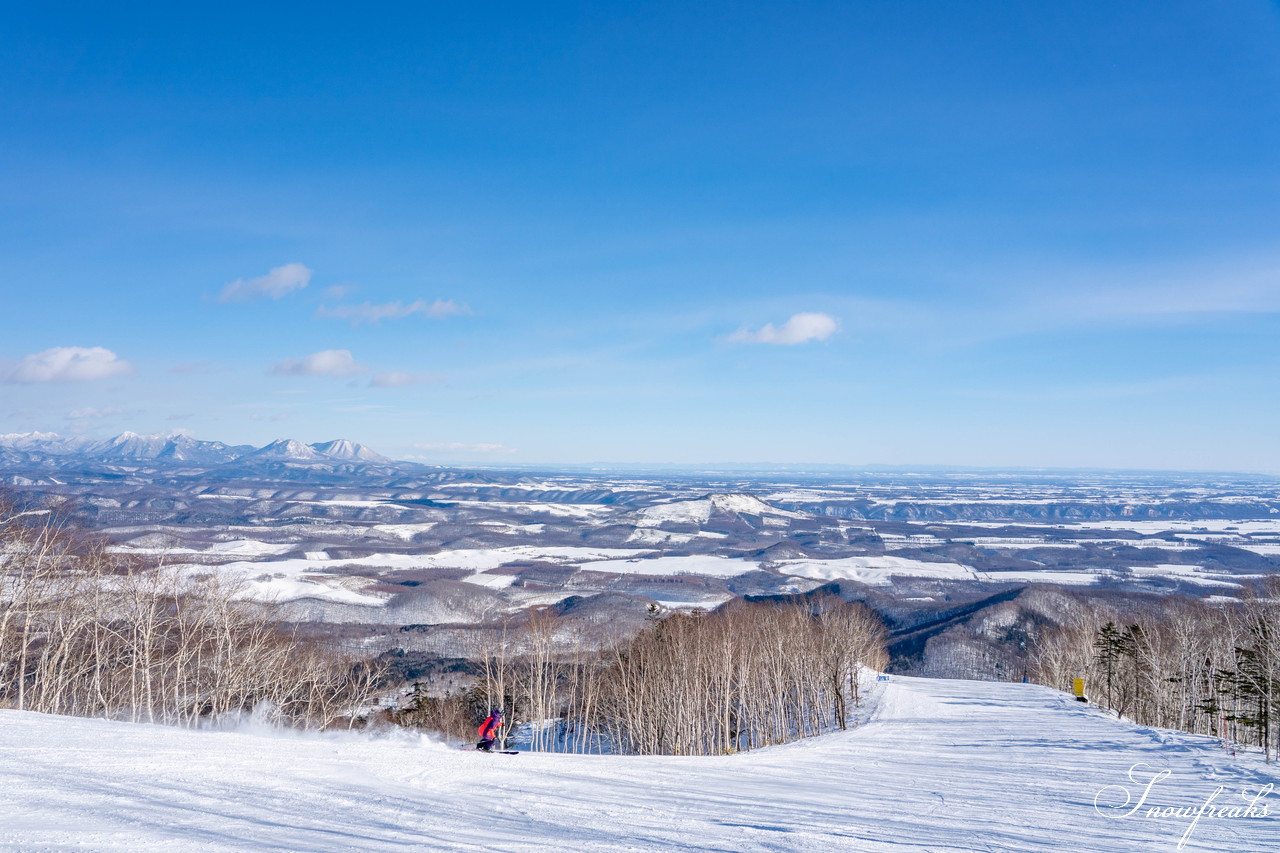 十勝サホロリゾート 快晴の空の下、極上の粉雪クルージングバーンを心ゆくまで味わう１日(*^^*)